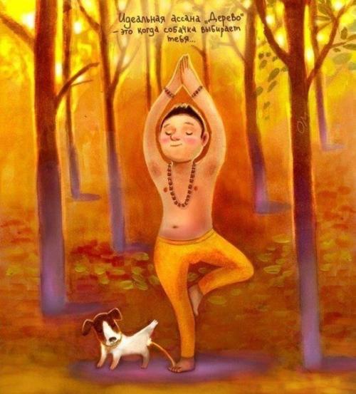 Идеальная йога - это вот так? 04