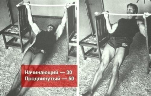 Программа упражнений от арнольда шварценеггера. 03