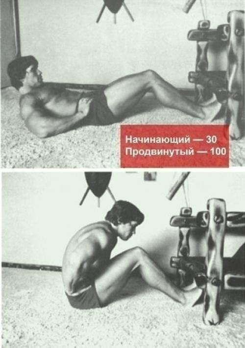Программа упражнений от арнольда шварценеггера. 04