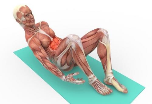 Эффективные упражнения на пресс. 02