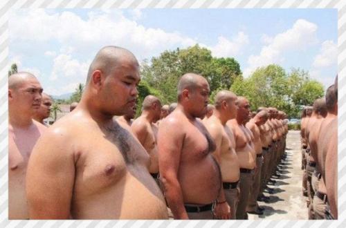 Спортивные девушки. А вы знали, что в аиланде естьла ерь, куда отправляют мужчин, которые страдают ожирением, что бы они там похудели. 03