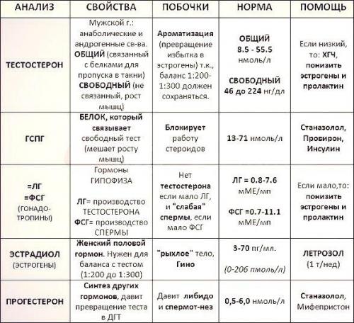 Таблица анализов, за уровнем которых стоит следить любому спортсмену, занимающем железным спортом. 02