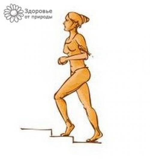 Кардиотренировки: ходьба по лестнице. 01