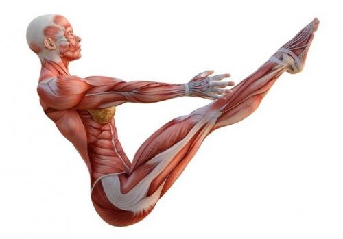 Эффективные упражнения на пресс. 06