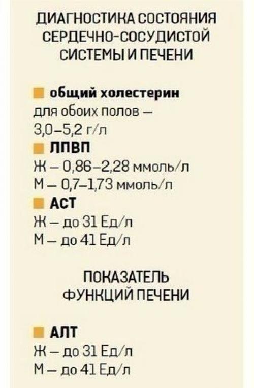 О чем расскажет анализ крови? 06