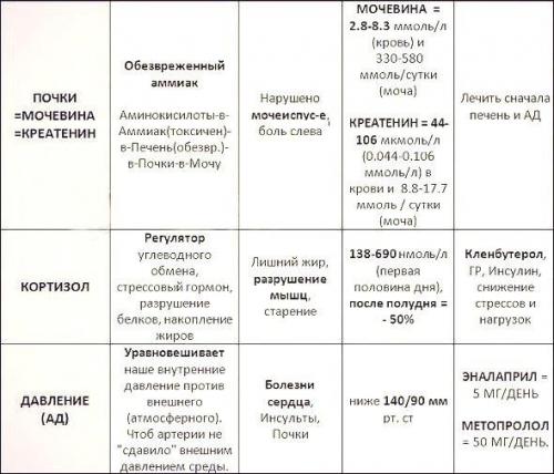 Таблица анализов, за уровнем которых стоит следить любому спортсмену, занимающем железным спортом. 01