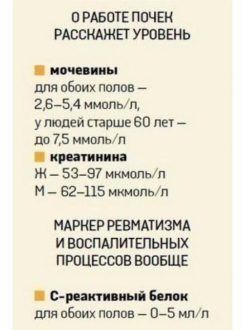 О чем расскажет анализ крови? 05