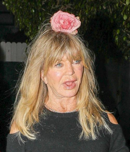 80-Летняя голди хоун публику своим внешним Видом ужаснула. 01