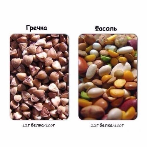 Содержание белка в распространенных продуктах. 07