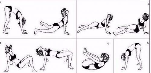 Упражнения поля брегга для востановления позвоночника. 01 Упражнения поля брегга для востановления позвоночника. 01