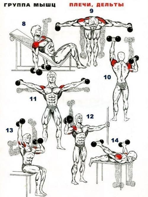 Десять малоизвестных упражнений для плеч. 01 Десять малоизвестных упражнений для плеч. 01