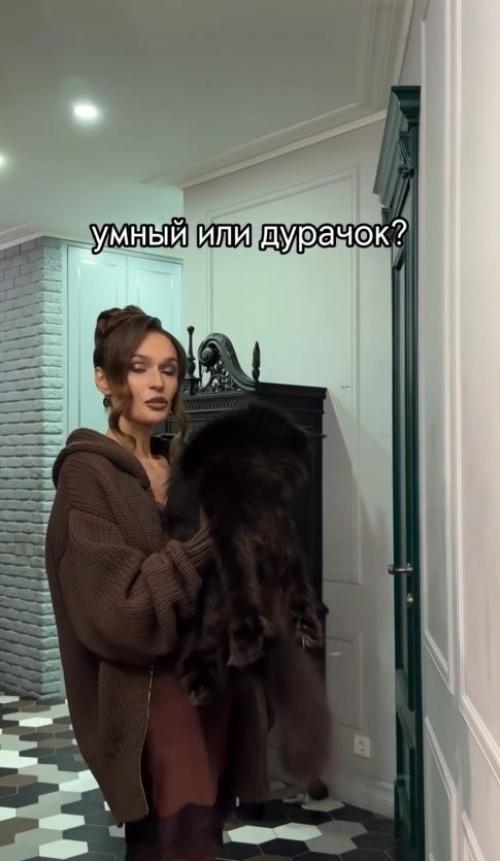 Алена водонаева провела интеллектуальный эксперимент с собственным котом. 01