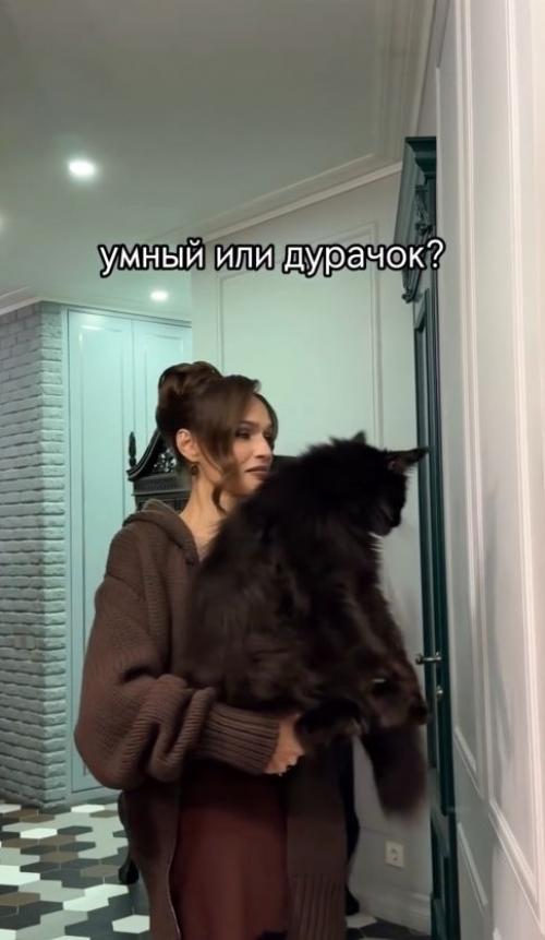 Алена водонаева провела интеллектуальный эксперимент с собственным котом. 
