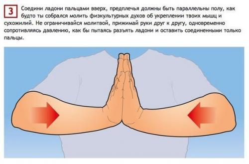 Простые упражнения, тренирующие все 27 мышц рук. 02