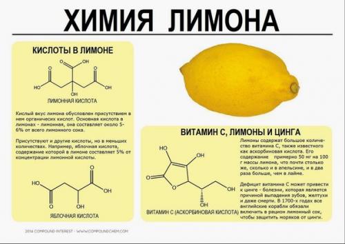 Познавательная инфографика о химическом составе некоторых продуктов. 03
