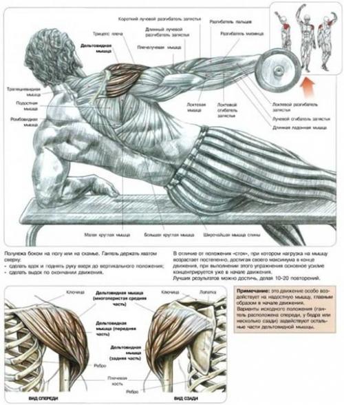 Мы качаем дельты. 01