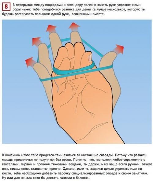 Простые упражнения, тренирующие все 27 мышц рук. 07