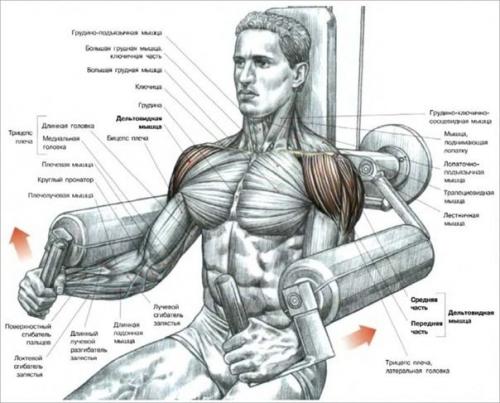 Мы качаем дельты. 04