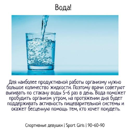 Правильные привычки зож. 01