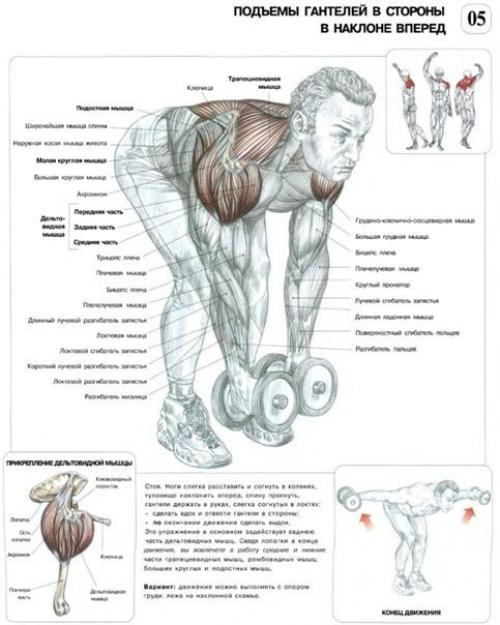 Мы качаем дельты. 07