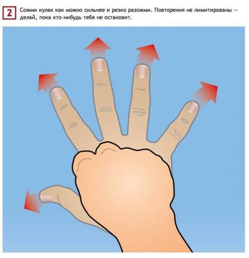 Простые упражнения, тренирующие все 27 мышц рук. 01