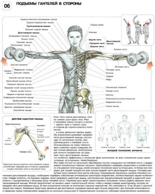 Мы качаем дельты. 06
