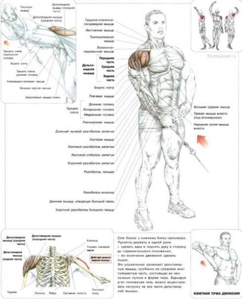 Мы качаем дельты. 02
