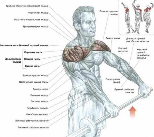 Мы качаем дельты. 05