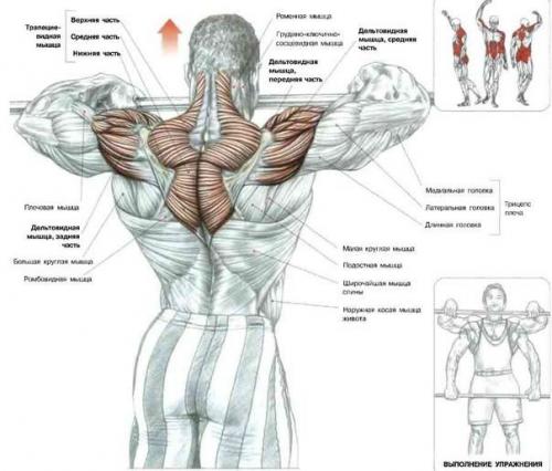 Мы качаем дельты. 03