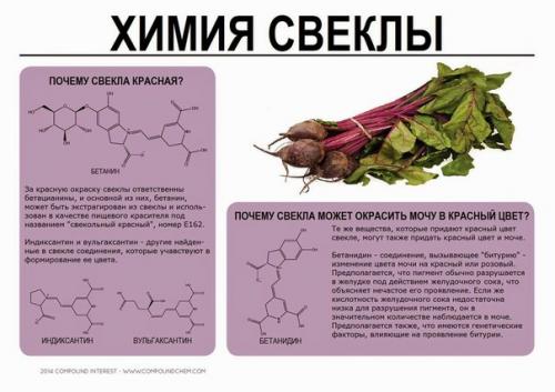 Познавательная инфографика о химическом составе некоторых продуктов. 04