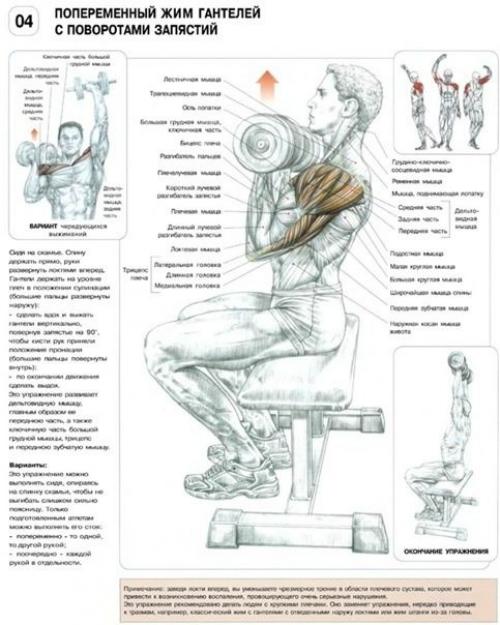 Мы качаем дельты. 09