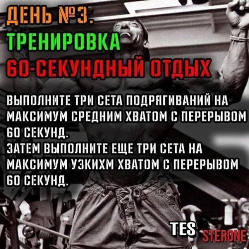 Повтори программу подтягиваний льюиса армстронга. 03