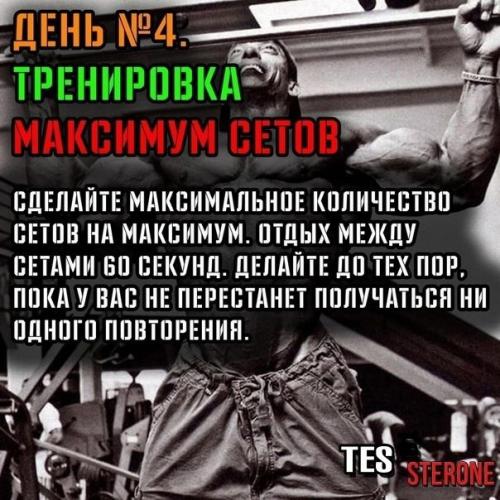 Повтори программу подтягиваний льюиса армстронга. 04