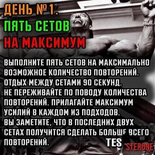 Повтори программу подтягиваний льюиса армстронга. 01