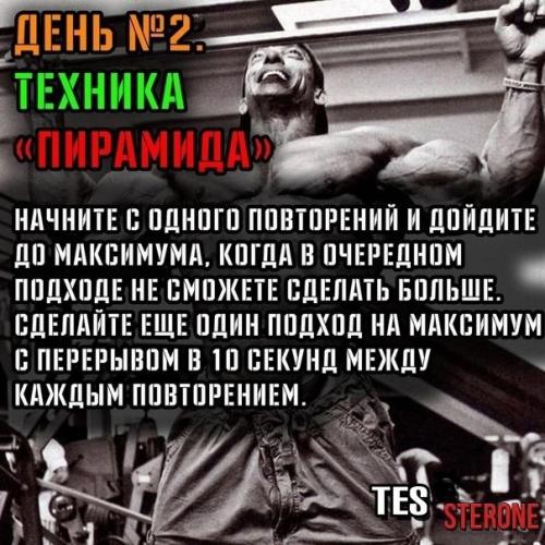 Повтори программу подтягиваний льюиса армстронга. 02