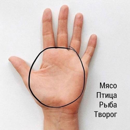 Мы определяем размер порции по руке. 01 Мы определяем размер порции по руке. 01