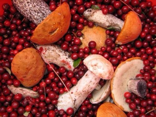 Список продуктов для похудения. 01 Список продуктов для похудения. 01