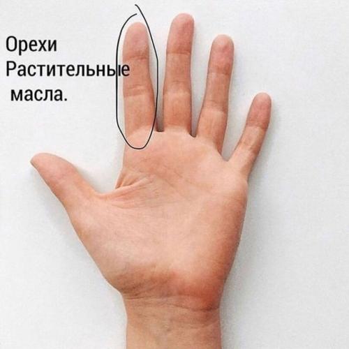 Мы определяем размер порции по руке. 04 Мы определяем размер порции по руке. 04