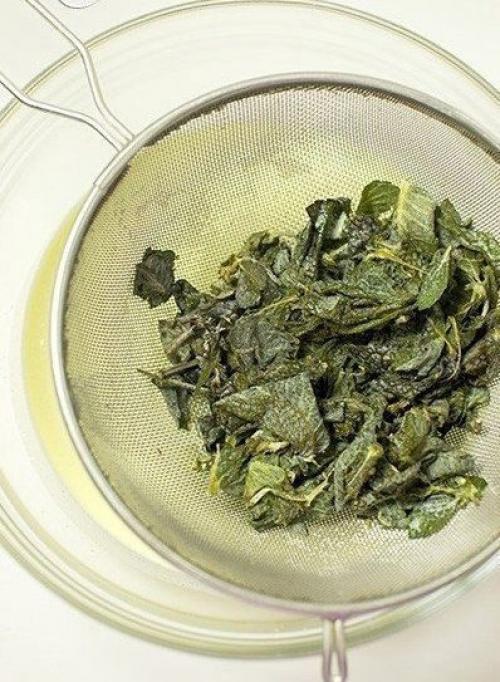 Низкокалорийное мятное мороженое с шоколадом. 03