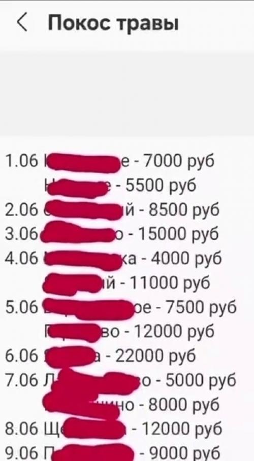Оказалось, летом можно нормально поднять на покосе травы. 01