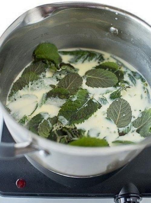 Низкокалорийное мятное мороженое с шоколадом. 02