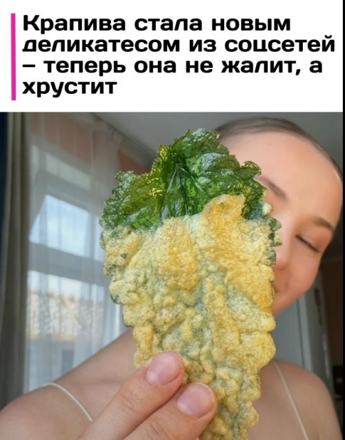 В соцсетях набирают популярность чипсы из крапивы, которые пользователи в комментариях называют неожиданно вкусными. 

