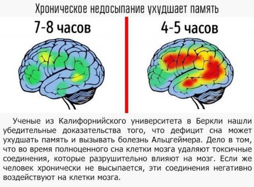 Смотри, как наши привычки и эмоции влияют на наш мозг? 01