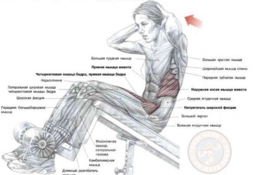 Выполняй Сетом? Мы убиваем пресс? 01 Выполняй Сетом? Мы убиваем пресс? 01