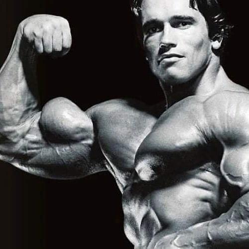 Арнольд шварценеггер на пике своей карьеры. 02