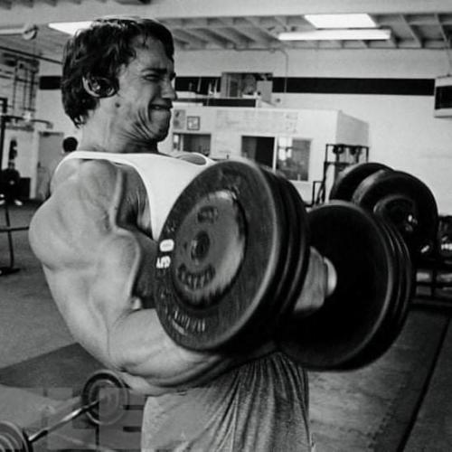 Арнольд шварценеггер на пике своей карьеры. 01