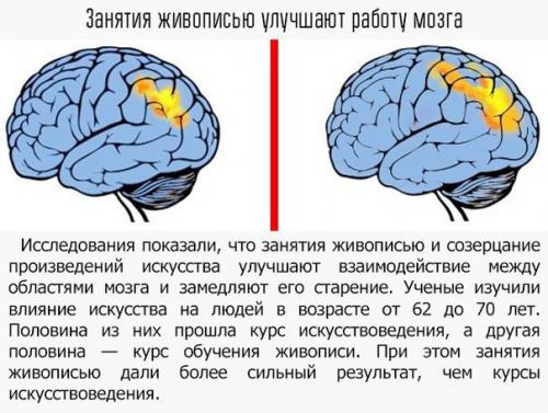 Смотри, как наши привычки и эмоции влияют на наш мозг? 02