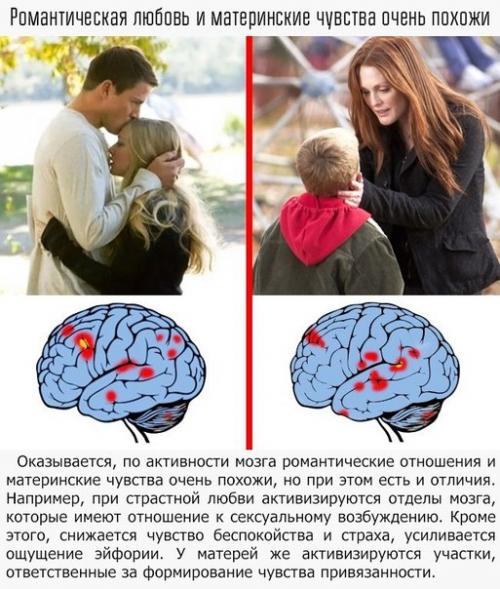 Смотри, как наши привычки и эмоции влияют на наш мозг? 06