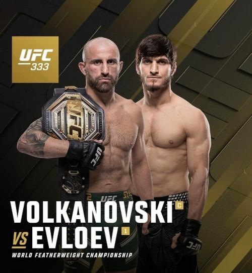 Поединки UFC на конец 2026 года. 01