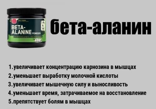 Гид по аминокислотам. 06